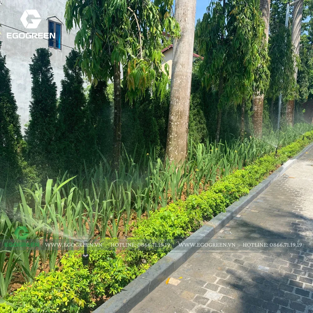 Hệ thống tưới nước tự động giúp sân vườn 2000m2 luôn xanh tốt.